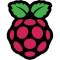 Raspberry Pi Pico logo
